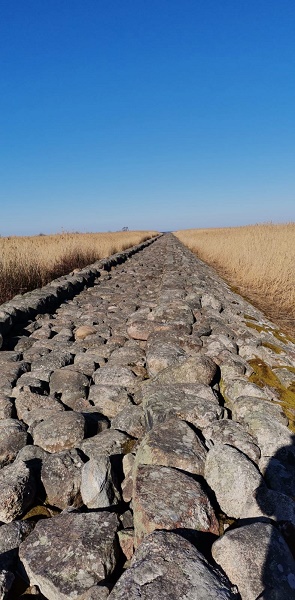 Mazpulki