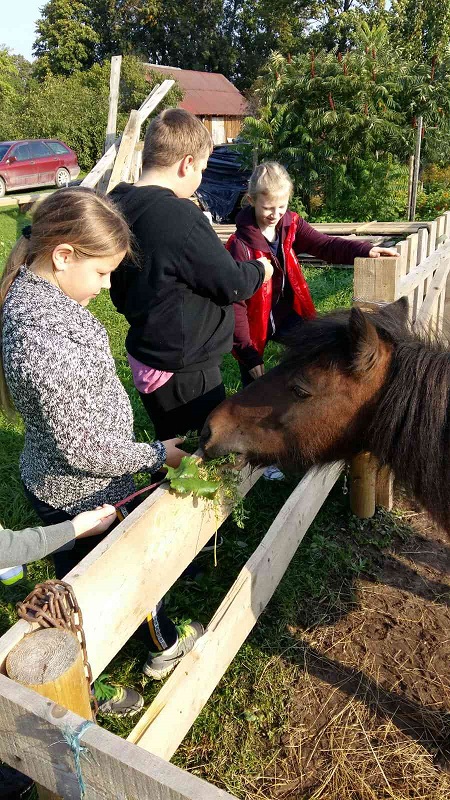 ekskursija