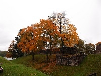 Ekskursija